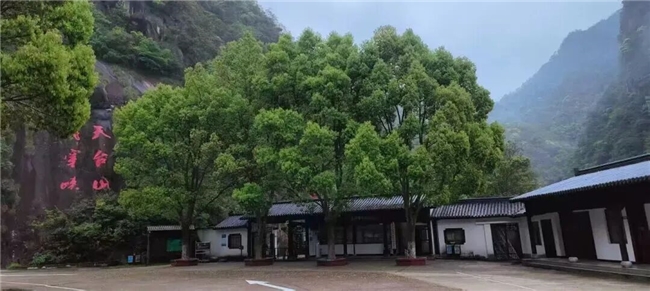 2026042118460979343.005